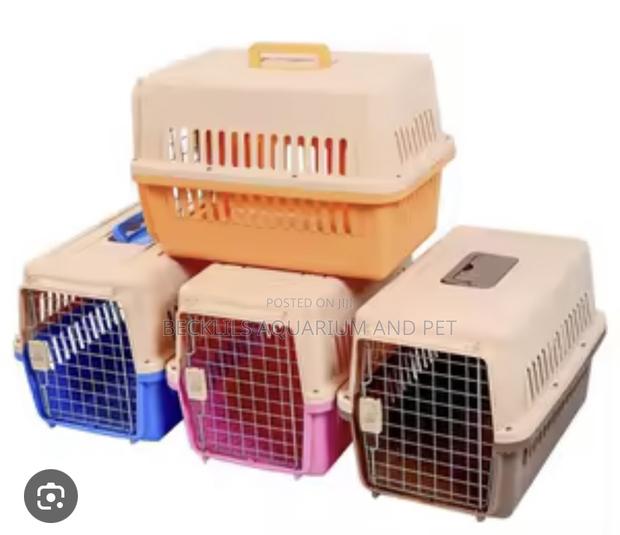Approved Flight Plastic Dog Crate · Photo 4