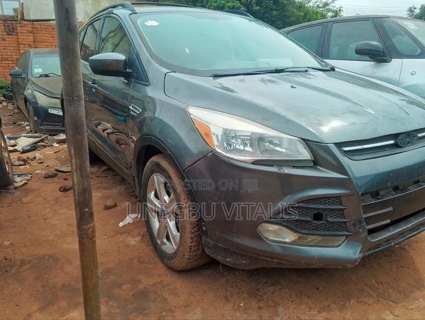 Ford Escape SE 2013 Gray