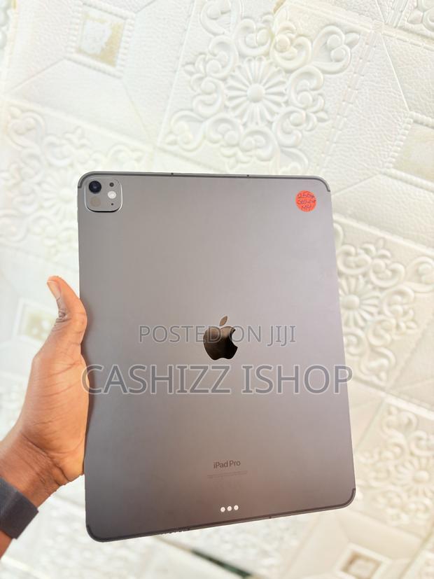 Apple iPad Pro 13 (2024) 256 GB Gray photo 2