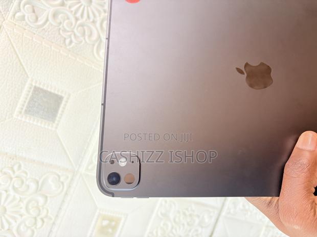 Apple iPad Pro 13 (2024) 256 GB Gray photo 8