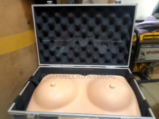 Breast (Model) · Photo 2