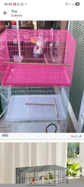 Double Metallic cage for birds