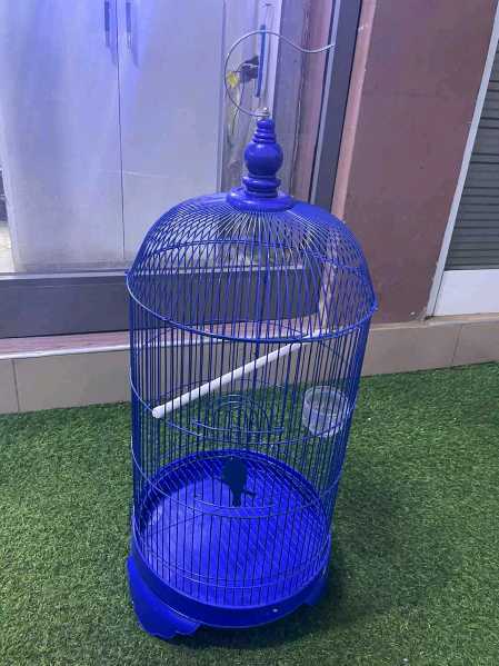 Conical Metallic Bird Cage