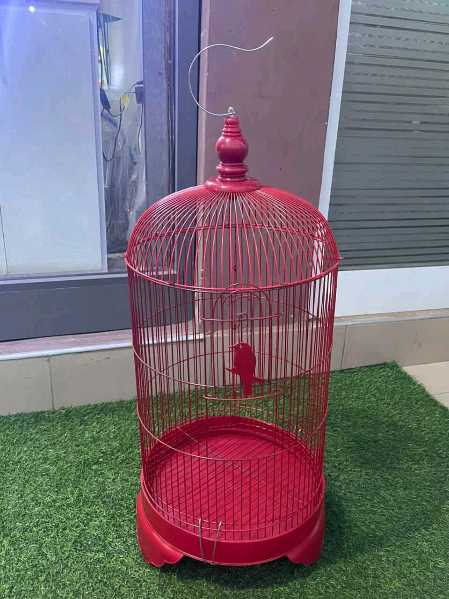 Conical Metallic Bird Cage