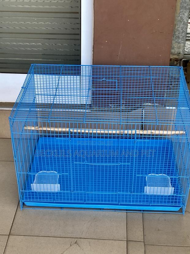 Leon Spacious Parrot Cage · Photo 3