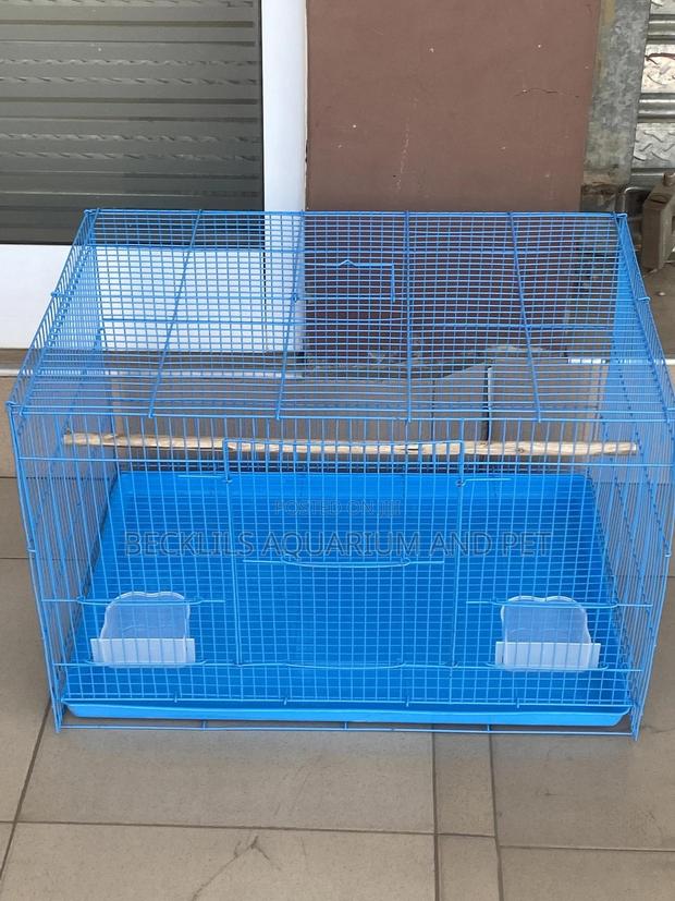 Leon Spacious Parrot Cage · Photo 4