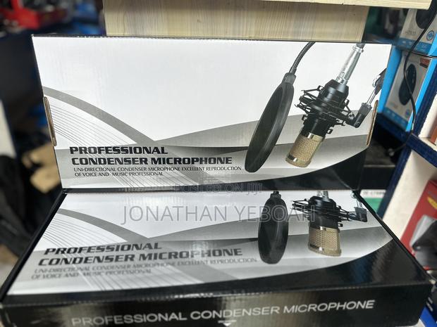 Condenser 2 Pin Microphone · Photo 4