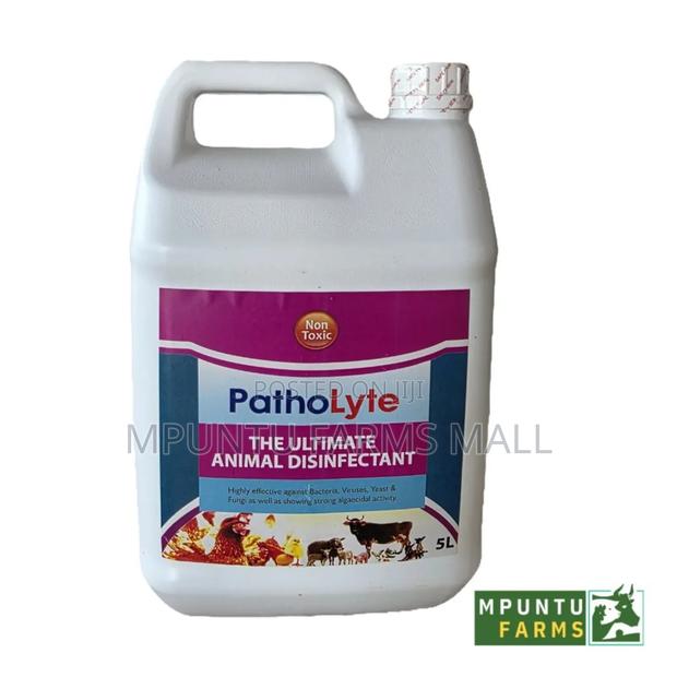 Patholyte 5ltrs
