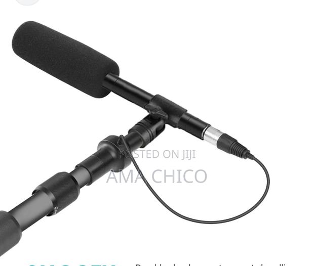 Professional Boom Mic