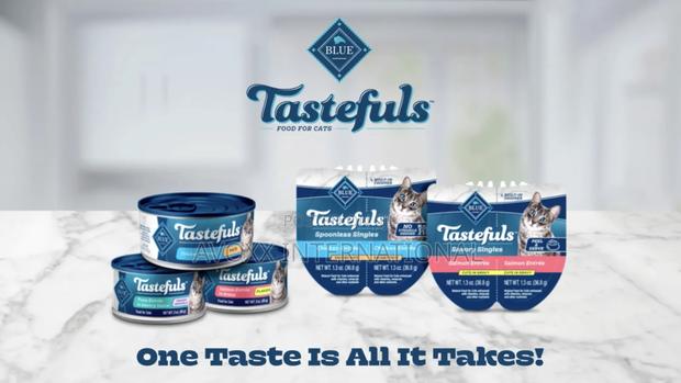 Blue Buffalo Tastefulsccat Food Paté, Chicken Turkey 12ct. photo 2