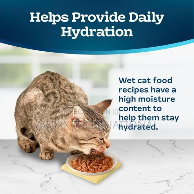 Blue Buffalo Tastefulsccat Food Paté, Chicken Turkey 12ct. photo 8
