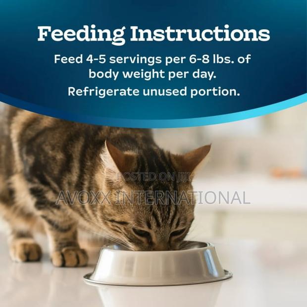 Blue Buffalo Tastefulsccat Food Paté, Chicken Turkey 12ct. photo 10