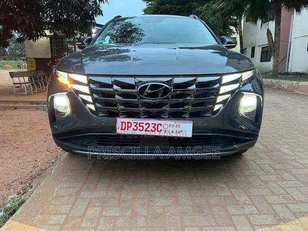 Hyundai Tucson 2023 Gray