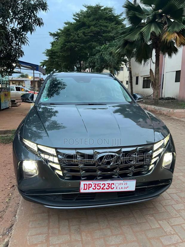 Hyundai Tucson 2023 Gray
