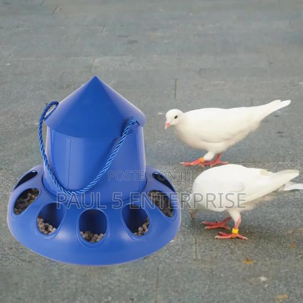 Poultry Feeder 11 Holes at Kasoa photo 3