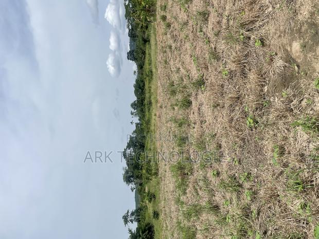 Lands for Sale at Nsawam