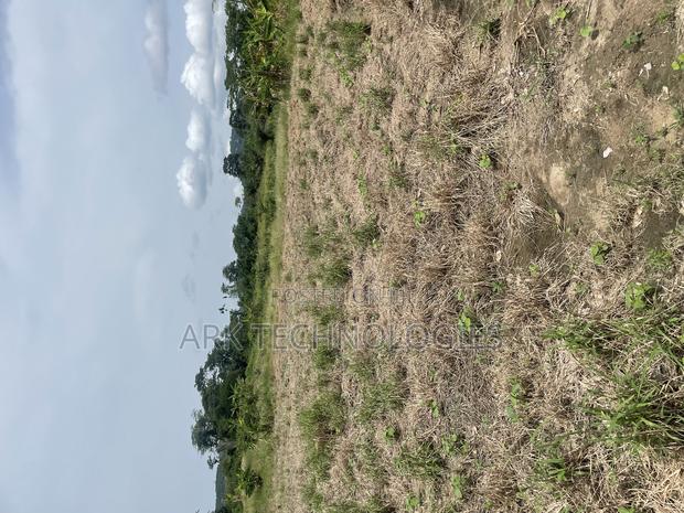 Lands for Sale at Nsawam