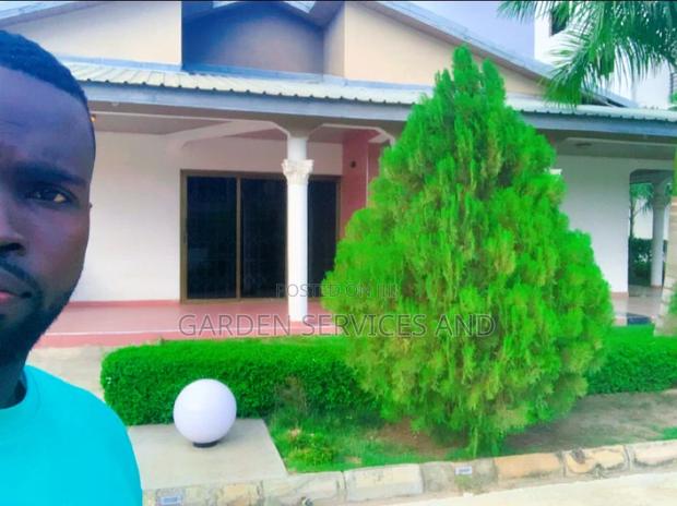 Gardening and Landscaping Service Available photo 15