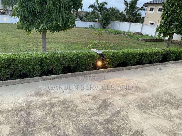 Gardening and Landscaping Service Available photo 17