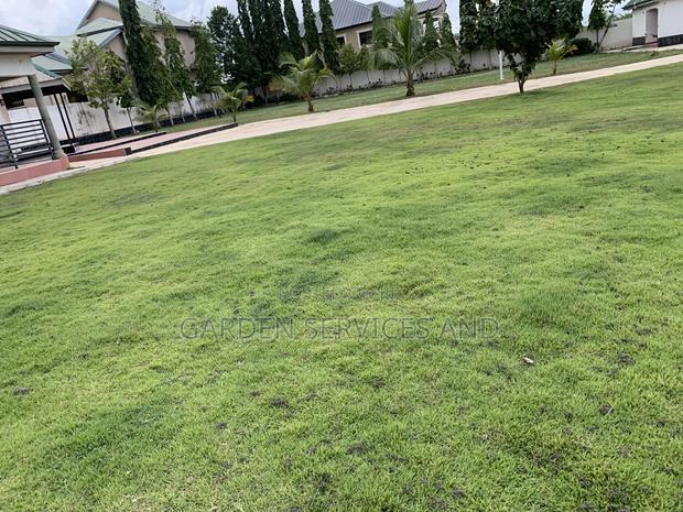 Gardening and Landscaping Service Available photo 18