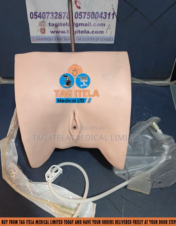 Catheterization Manikin (Female) · Photo 3