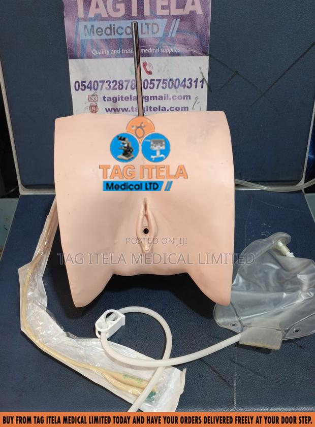 Catheterization Manikin (Female) · Photo 4