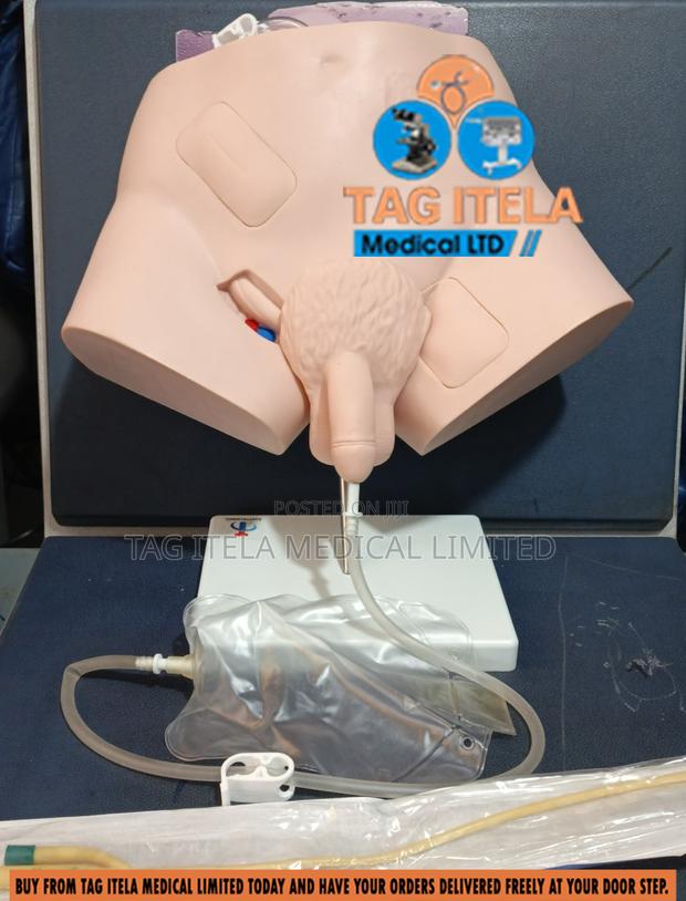 Catheterization Manikin (Male) · Photo 3