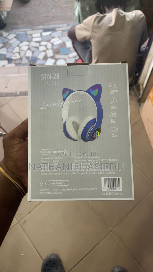 Big Cat Headset photo 2