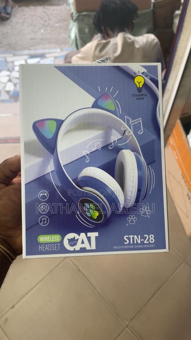 Big Cat Headset