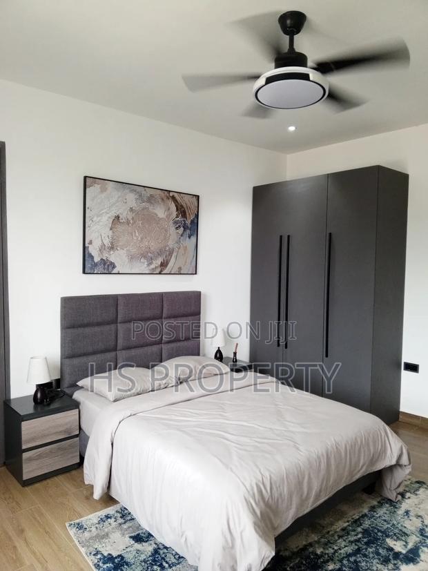 Furnished 2bdrm Apartment in Tseaddo for rent photo 5