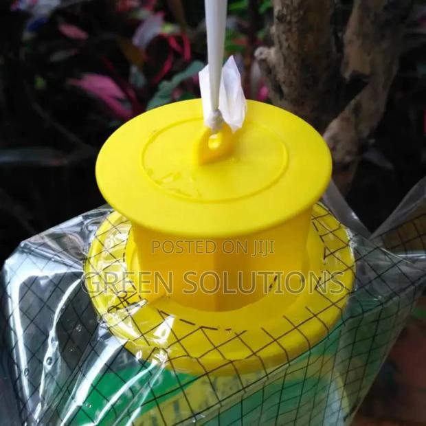 Houseflies Trap With Attractant photo 5