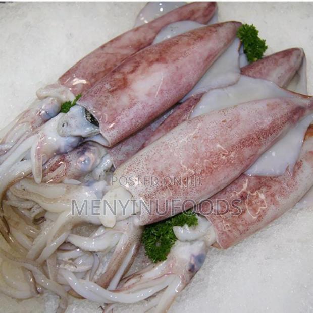 Fresh Squid Octopus for Sale – Wholesale Retail | Ghana · Photo 2