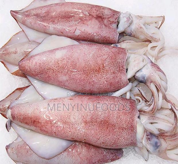 Fresh Squid Octopus for Sale – Wholesale Retail | Ghana · Photo 3