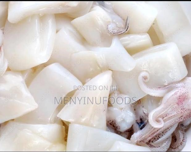Fresh Squid Octopus for Sale – Wholesale Retail | Ghana · Photo 4