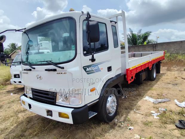 Hyundai Gold, Mega Truck. New Arrivals. photo 2