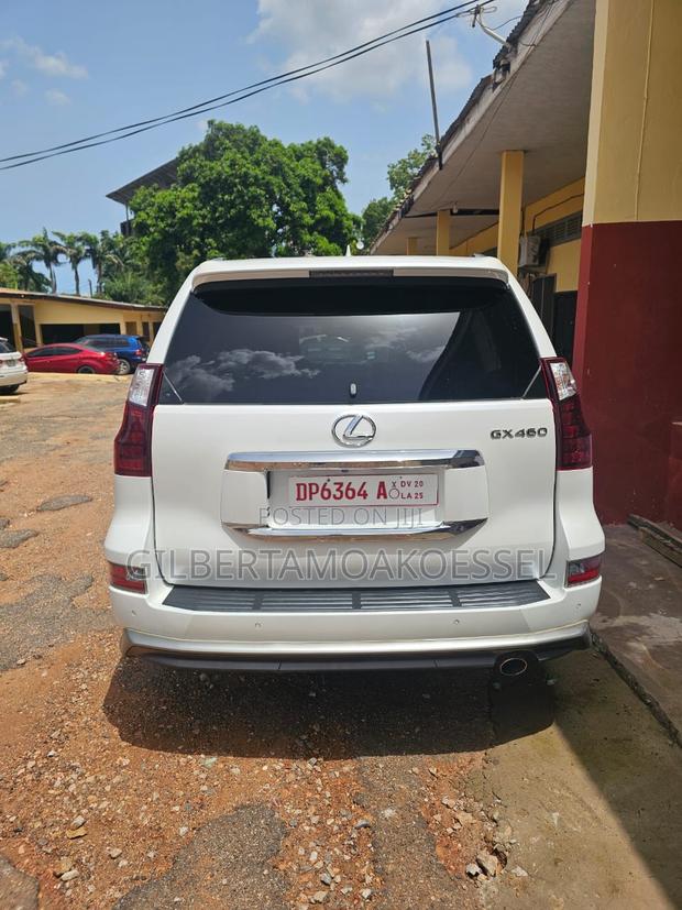 Lexus GX 460 Luxury 2019 White