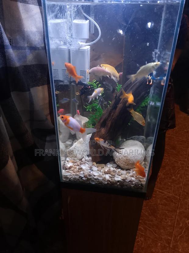 Mini Aquarium With Cabinet Stand · Photo 4