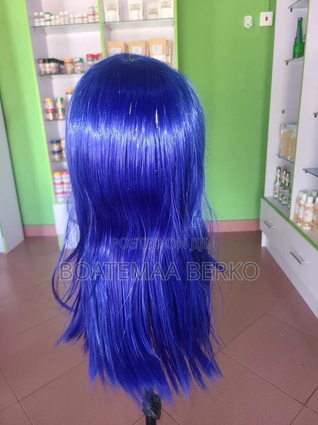Blue Straight French Cut Wig photo 3