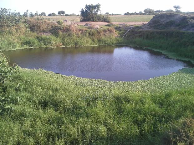 Virgin Gold And Farming Lands For Long Lease And Sale · Photo 3