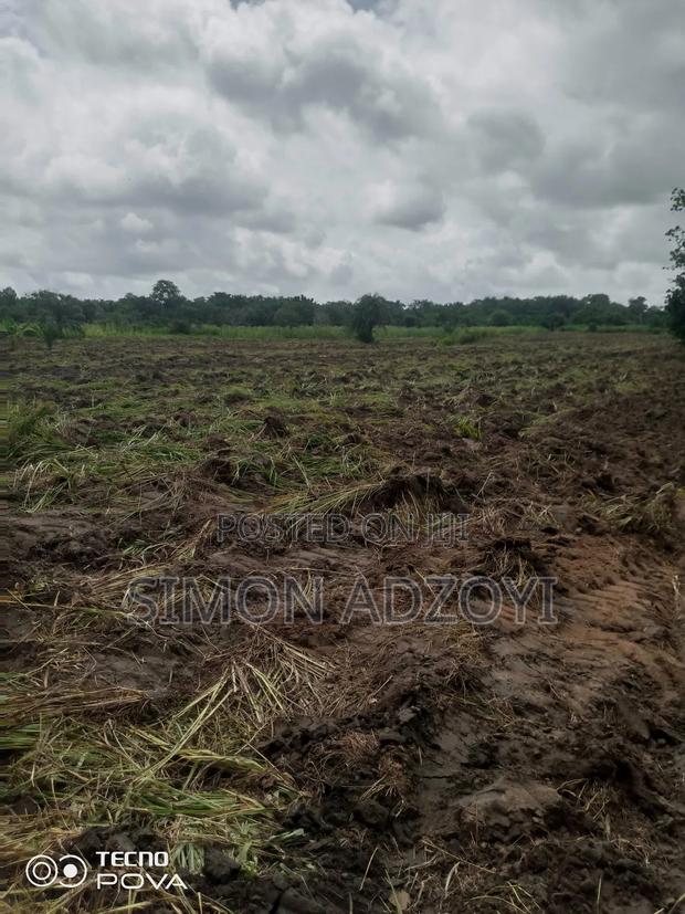 1000 Acres Available for Long Term Lease