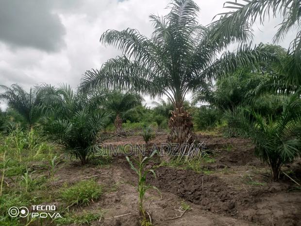 1000 Acres Available for Long Term Lease