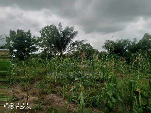 1000 Acres Available for Long Term Lease