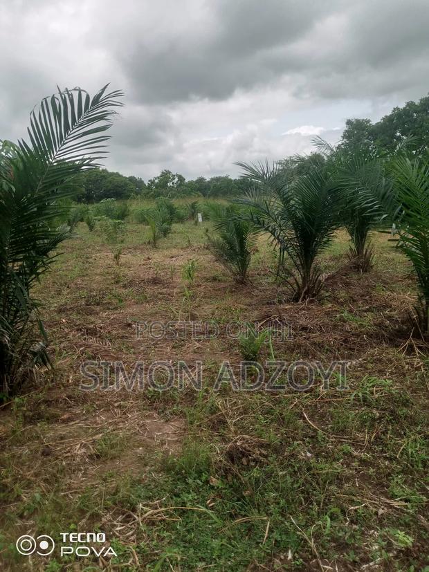 1000 Acres Available for Long Term Lease