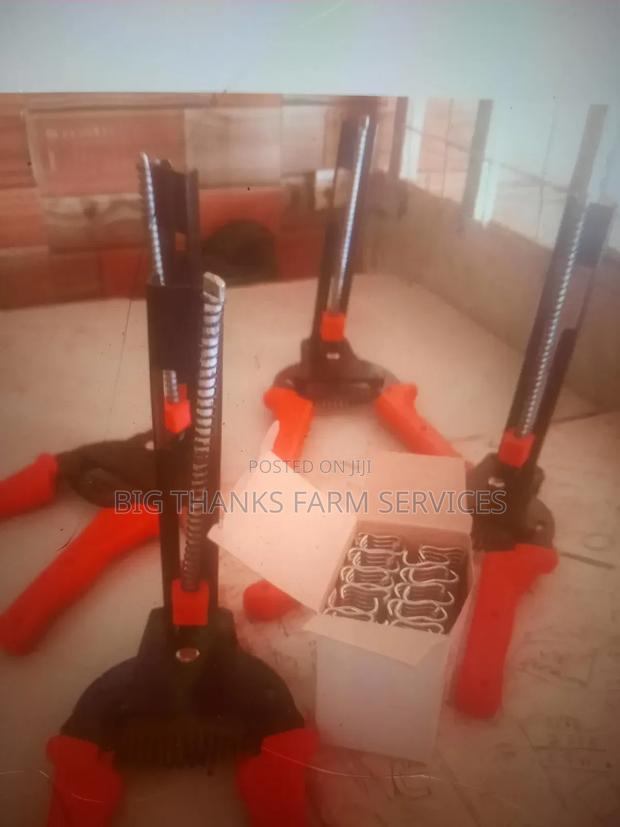 Pliers And Clips For Cage Construction · Photo 3