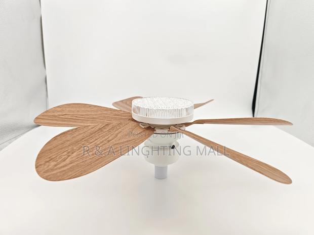 Smart Fan Light