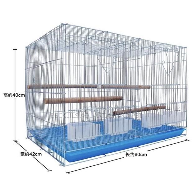Spacious Borodin Birdcage · Photo 2