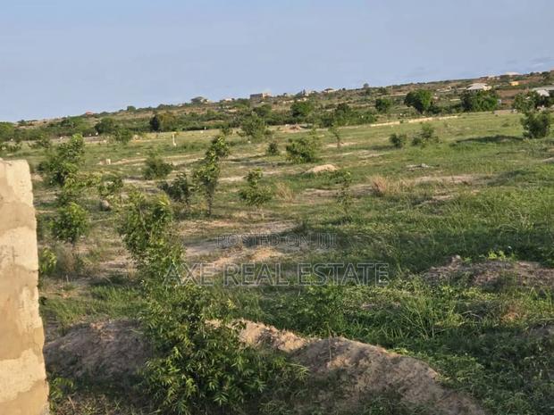 Special 50 X 70sqft Half Plot at Prampram Beach Lane · Photo 4