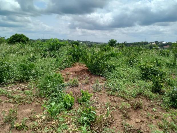 Land in Susuanso/ Tanoso photo 4