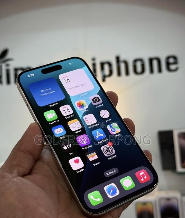 Apple iPhone 15 Pro Max 256 GB Silver