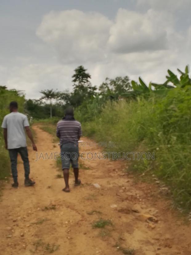 Farmlands for Sale · Photo 4